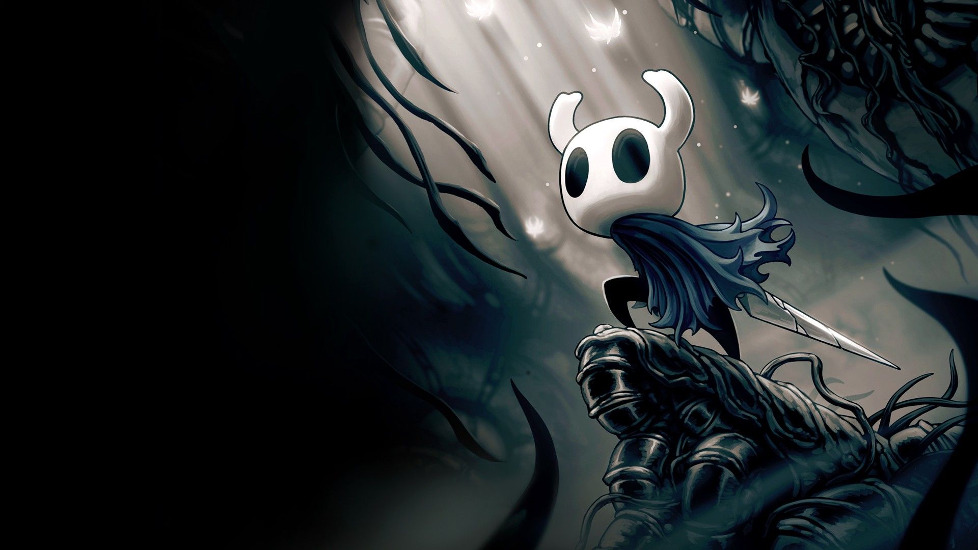 Hollow Knight Nintendo Switch game image